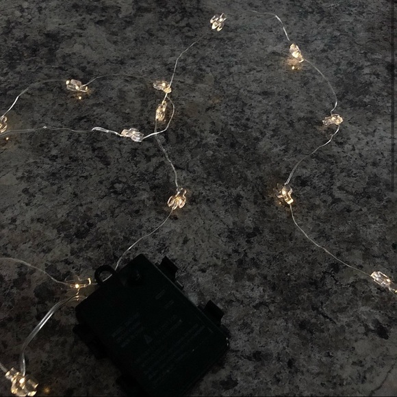 Cactus Fairy Lights 🌵💡 LED Curtain String Lights - Picture 4 of 12